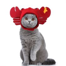 Pet headgear for dog & cat Halloween hat