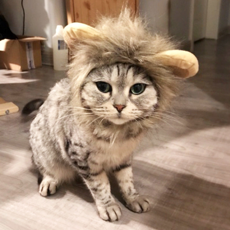 Cat wig head set lion head