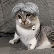 Pet wig K-POP style