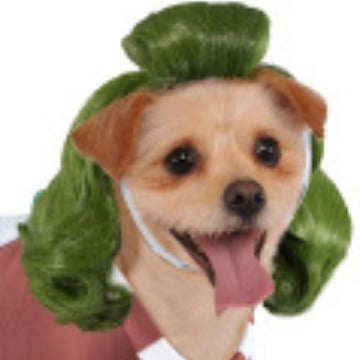 Pet green wig The same green wig that Charlie the Dwarf cosplays for the Halloween party