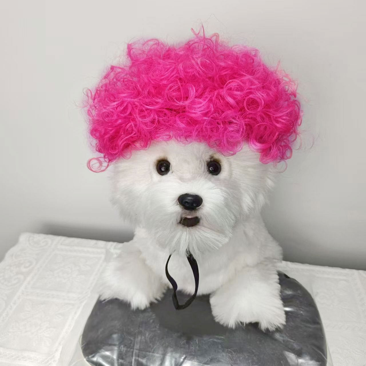 Pet wig curly hair