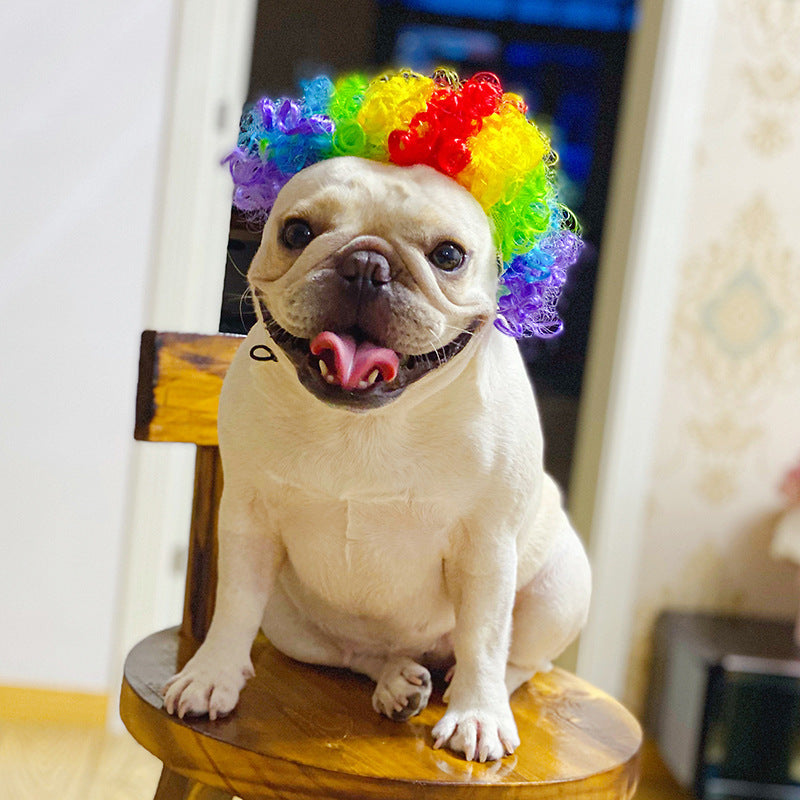 Pet wig headgear