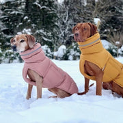 Dog clothing autumn and winter thick warm windproof two leg coat pet vest padded coat