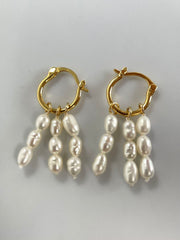 Earrings - 570