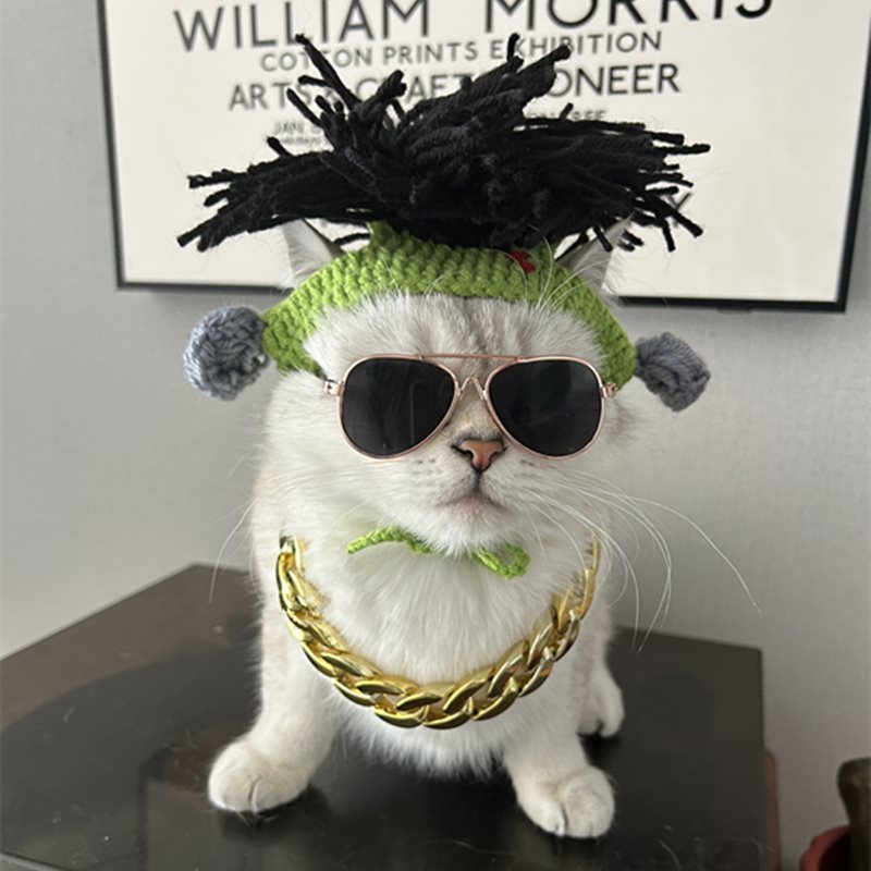 Cat knitted rock wig, punk style dog green hat