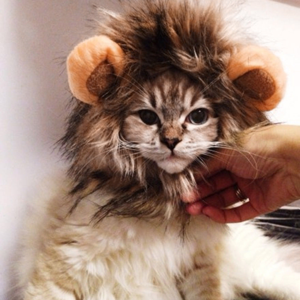 Cat & dog lion head set wig