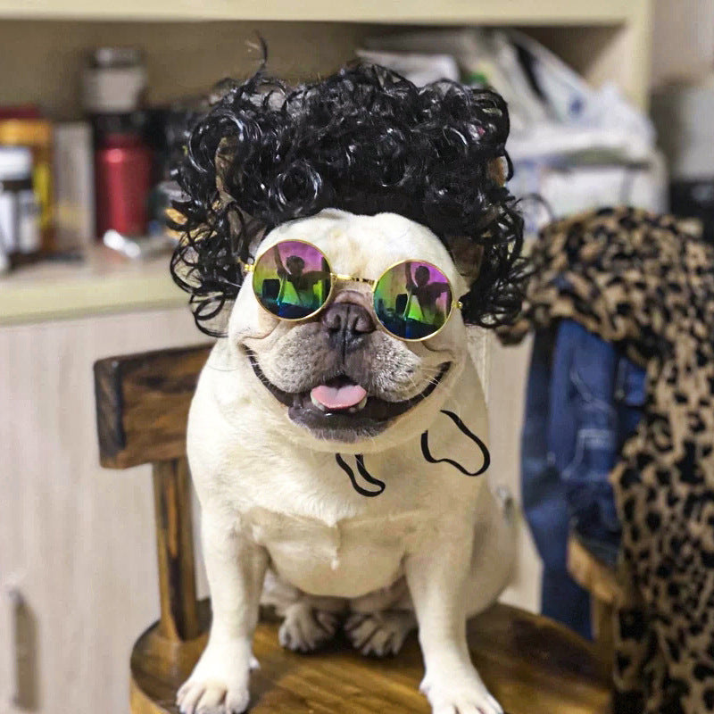 Pet wig funny cute hair accessories