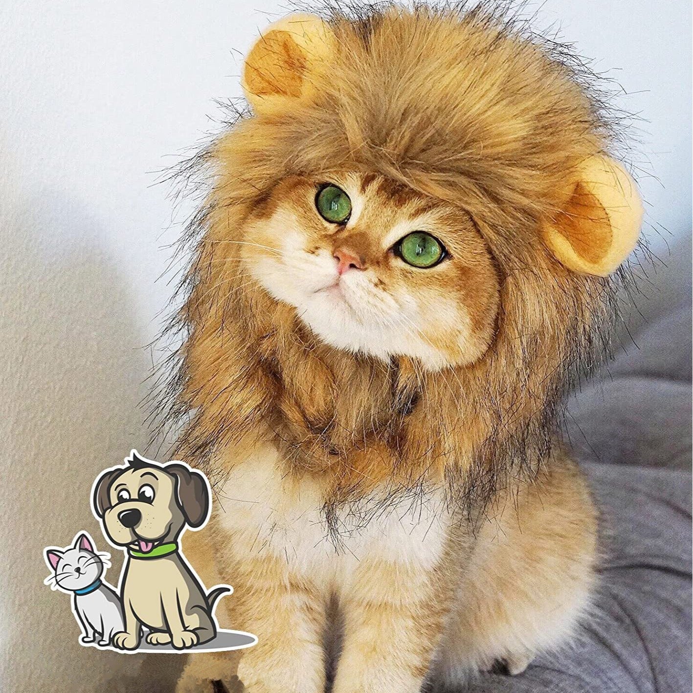 Pet dog cat wig hat lion head