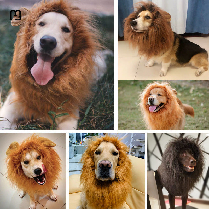 Golden hair funny lion head wig for corgi and other large dog